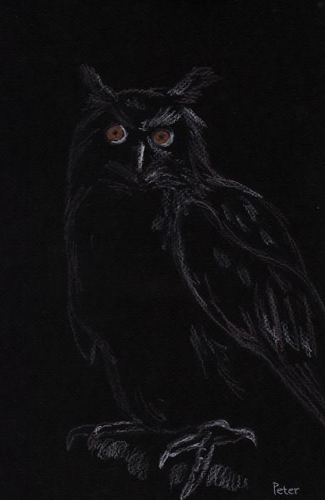 Night Owl by Glandarius